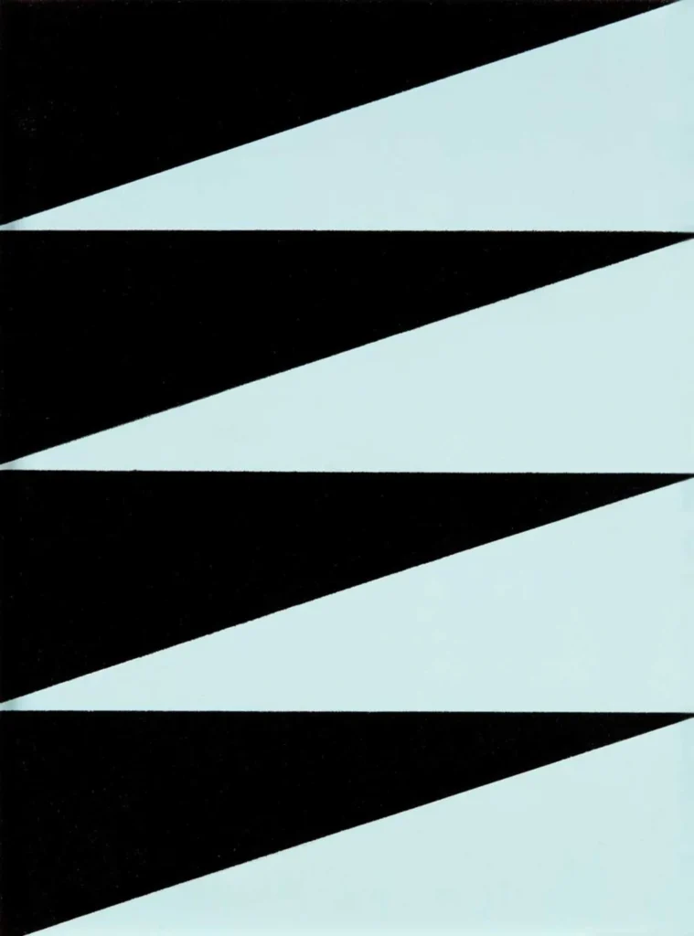 Sascha Hahn – Camaro IV