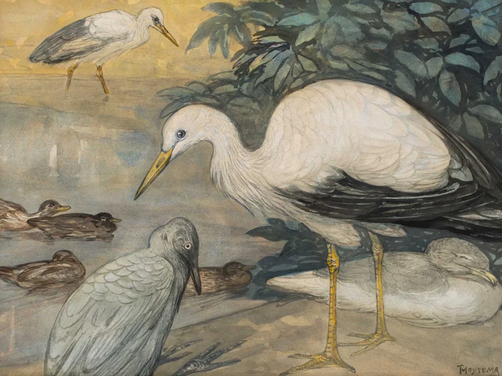 Theo van Hoytema – Watervogels